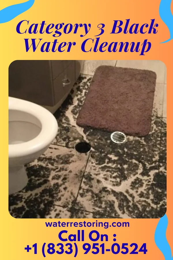 Category 3 Black Water Cleanup in Jacksonville, AL